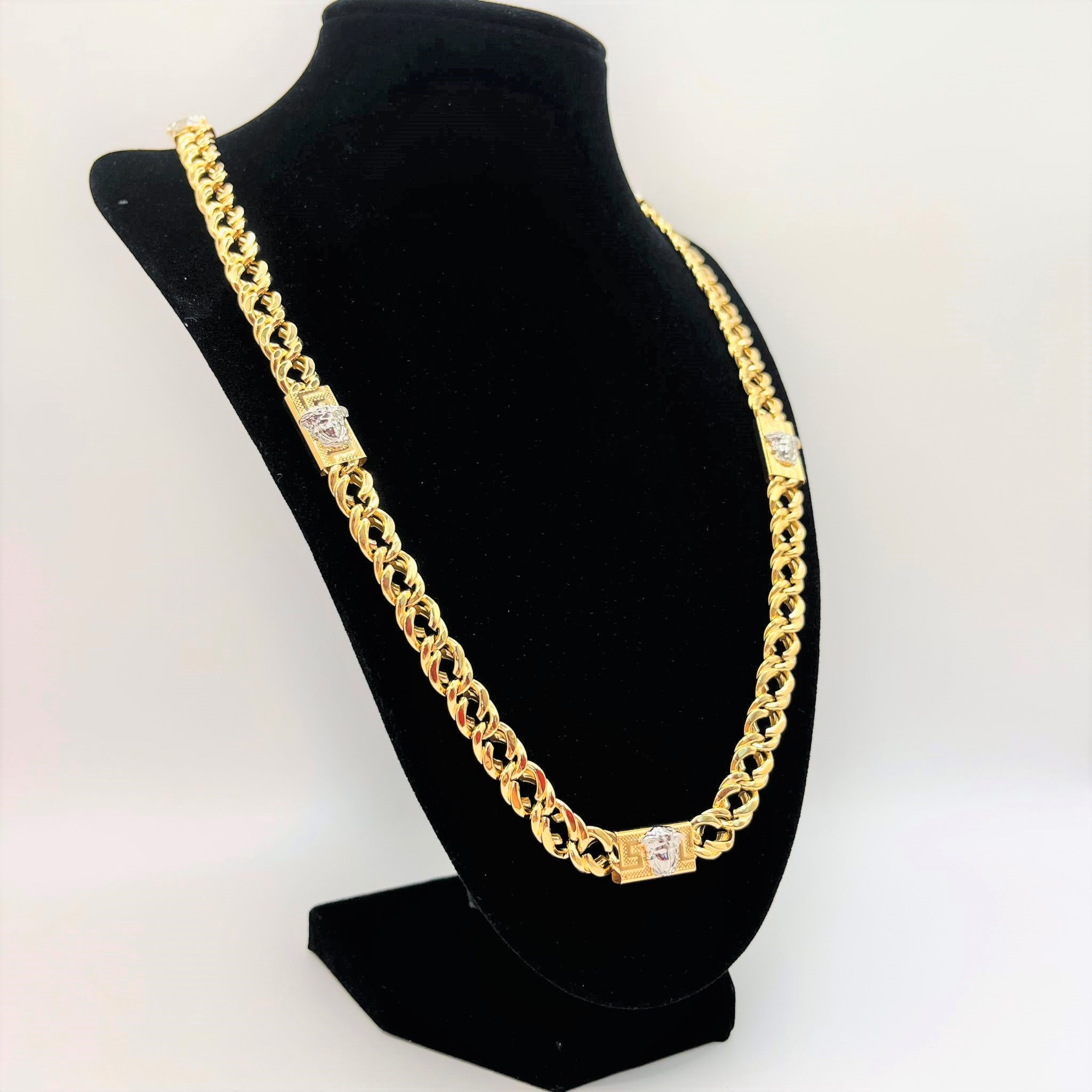 C. HUNGARINA MEDUSA BICOLOR (2)